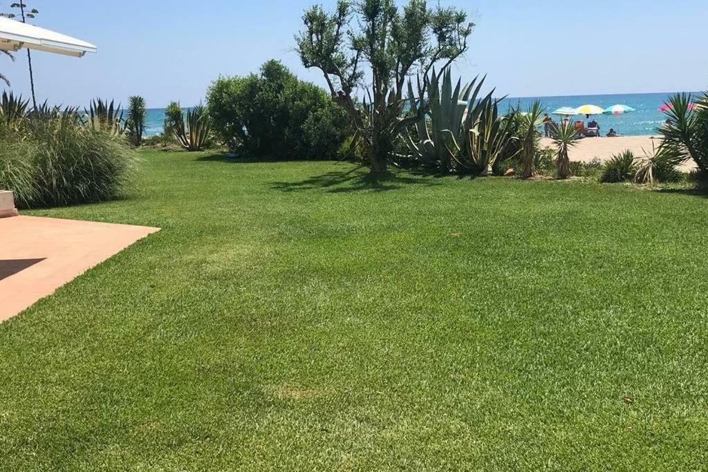 Amazing In Front Of The Sea Apartment Coma-ruga Ngoại thất bức ảnh